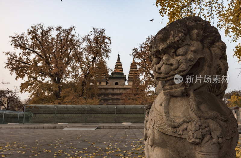 北京深秋五塔寺