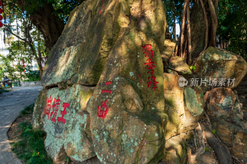 福州春天绿意盎然的冶山春秋公园景色