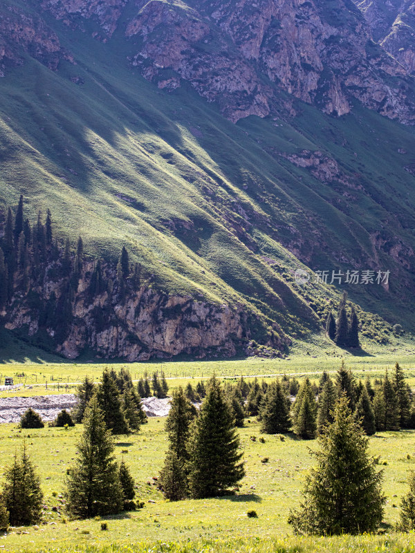 夏天新疆伊犁夏塔，草原树木河流的自然风光
