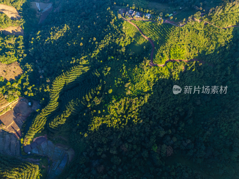 航拍层峦叠嶂的绿色山脉自然景观