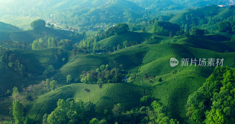 茶园茶山美丽乡村