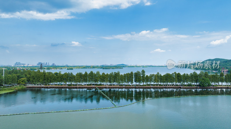 湖北武汉东湖绿道风景