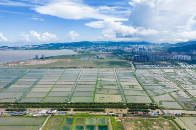 广东省中山市南朗街道崖口村的耕地和养殖场