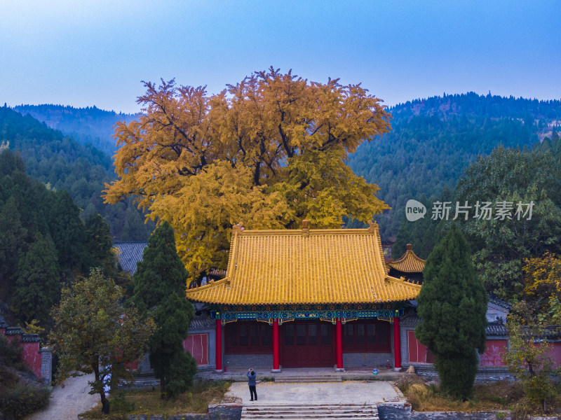 山东济南淌豆寺秋天航拍