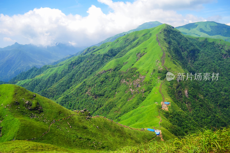 夏天江西武功山的高山草甸