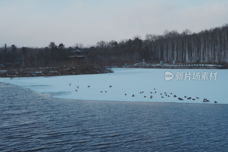 碧泉湖湖面