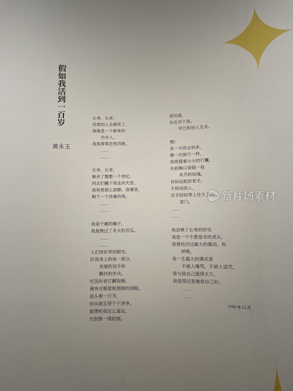 成都市美术馆2025年黄永玉新作展