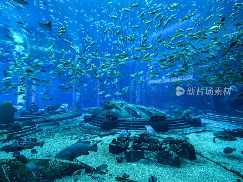 三亚亚特兰蒂斯酒店的水族馆