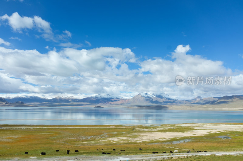 西藏那曲地区尼玛县文布北村当穹措秋天风光