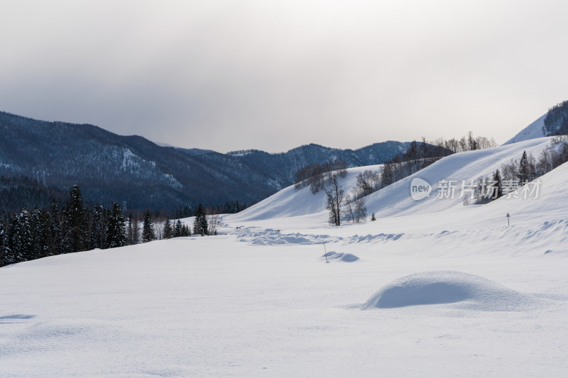 中国新疆阿勒泰禾木冬季雪景白雪覆盖的禾木