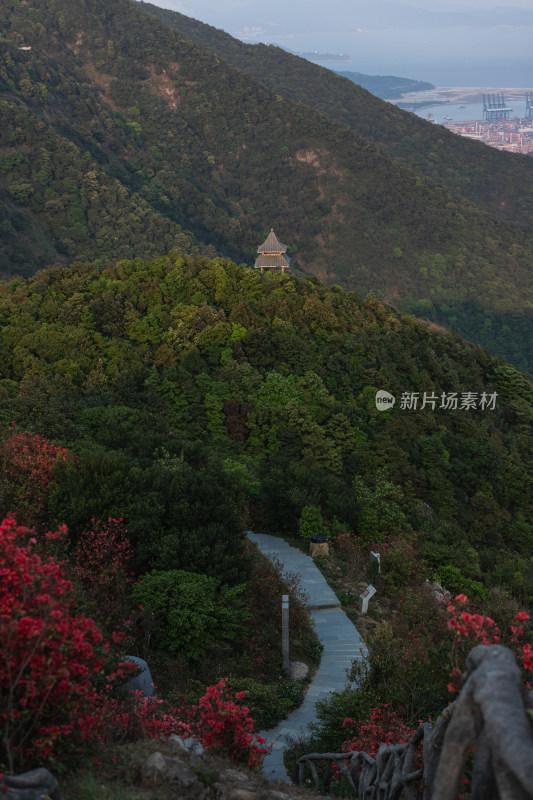 深圳梧桐山