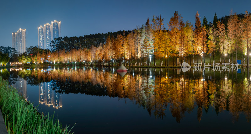 佛山千灯湖南海活水公园落羽杉红叶夜景全景