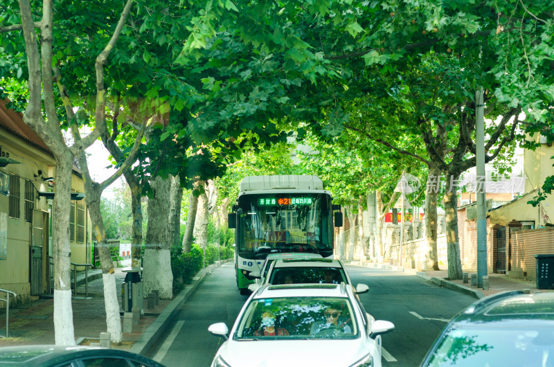 青岛街道上的公交车和汽车