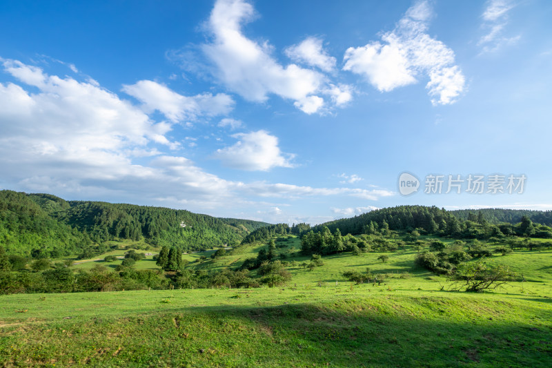 重庆市武隆区仙女山国家森林公园