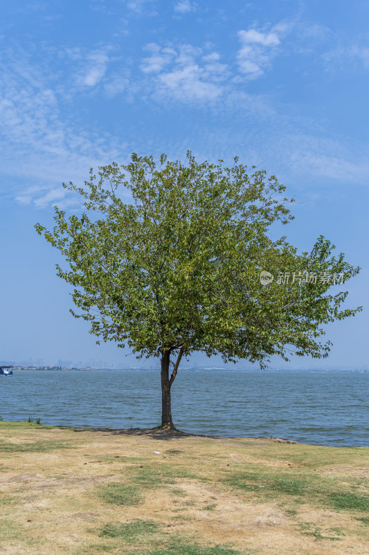 武汉江夏区悦湖公园风景