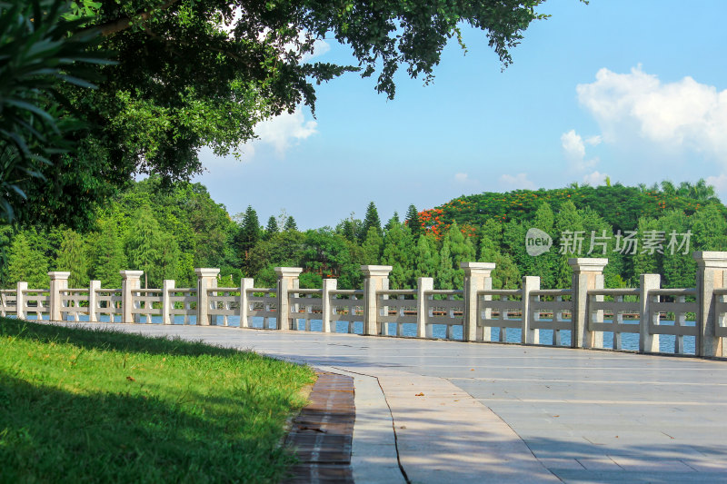 湖边步道与绿植景观