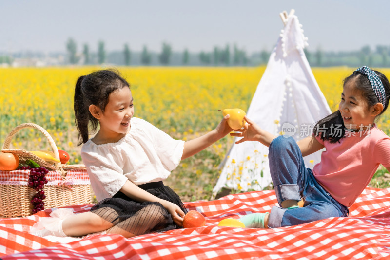 夏天两个在油菜花田边野餐的女孩