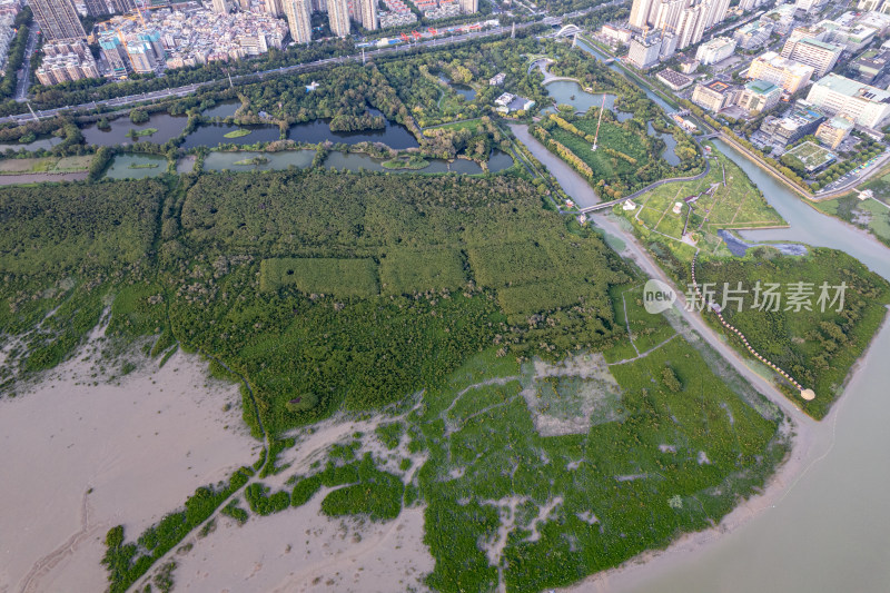 深圳市福田红树林生态公园