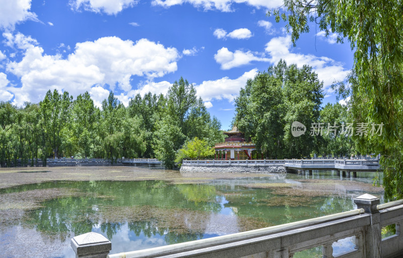 西藏拉萨布达拉宫广场公园树林湖泊