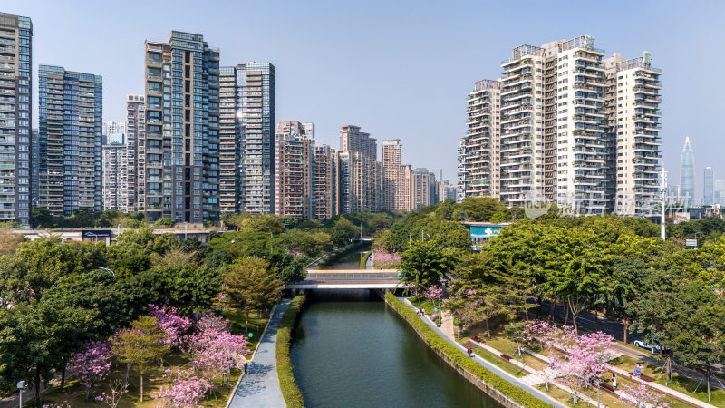 深圳市南山区后海中心河公园