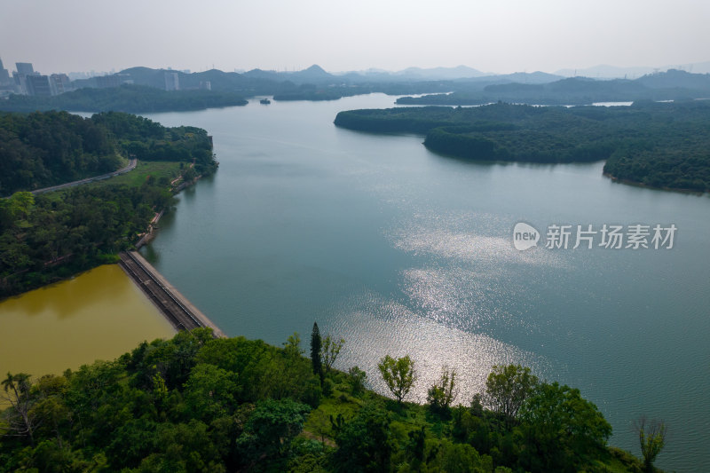 深圳环西丽湖碧道