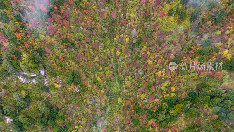 阿坝州黄龙风景名胜区秋色