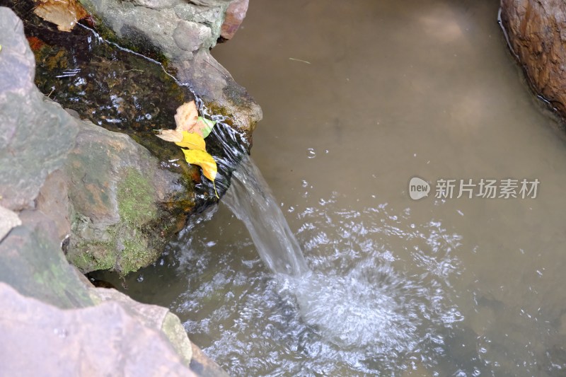 岩石流水与落叶景象