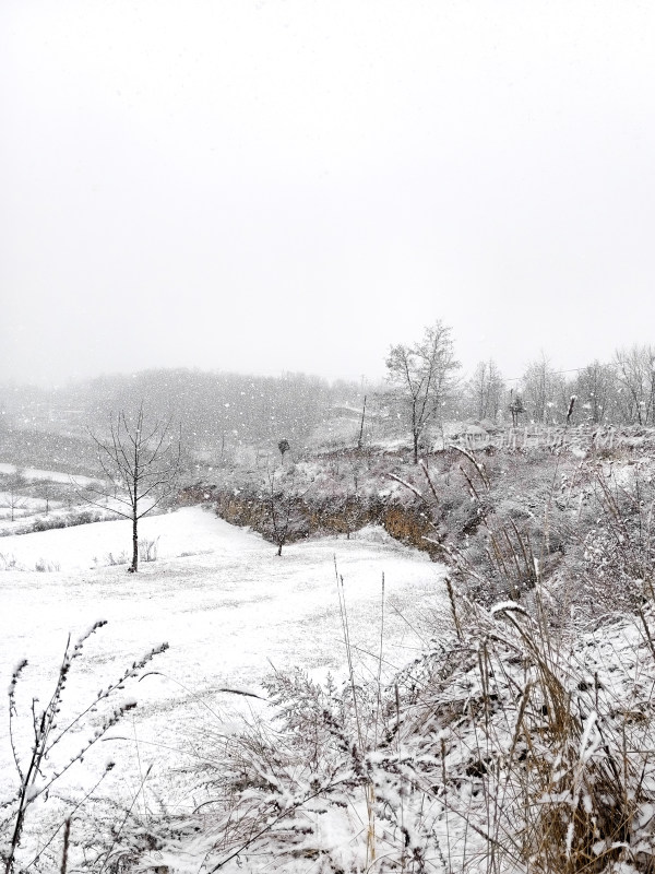 大雪纷飞