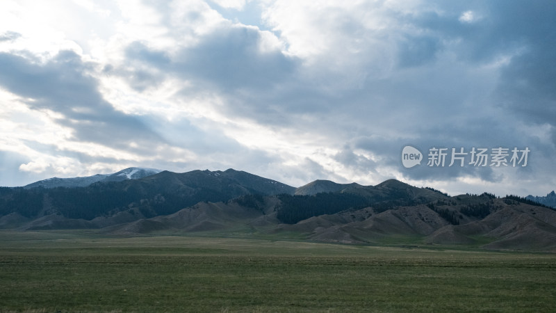 新疆天山蓝天白云下的草原雪山风光