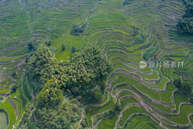 云和梯田景区风光航拍