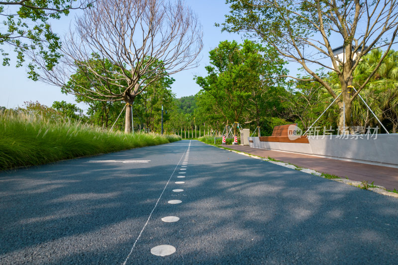 深圳环西丽湖碧道