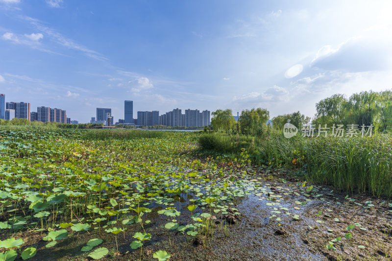武汉江夏中央大公园风景