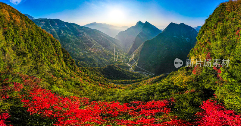 三峡红叶