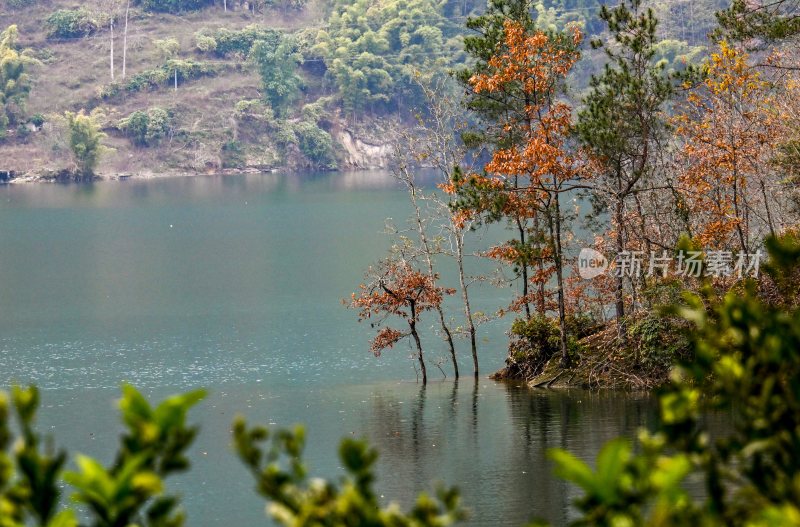 重庆酉阳：绿水青山林更红