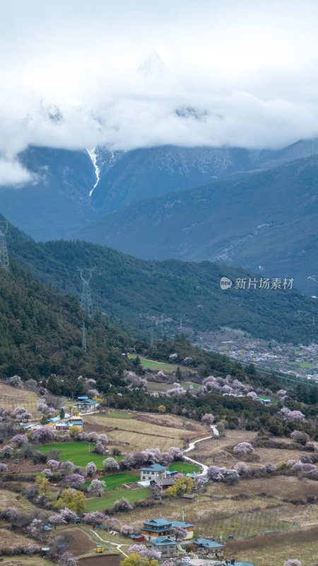 西藏林芝地区藏王故里桃花沟高空航拍