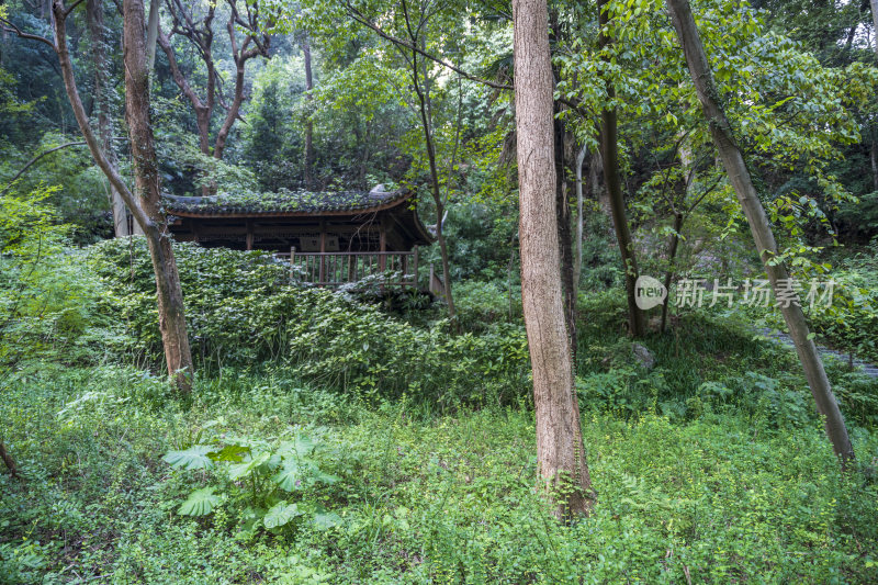 杭州三台山留馀山居风景