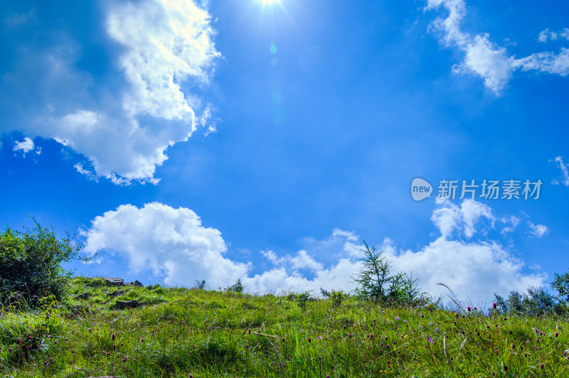 夏季蓝天白云绿色高山草甸群山大气风光