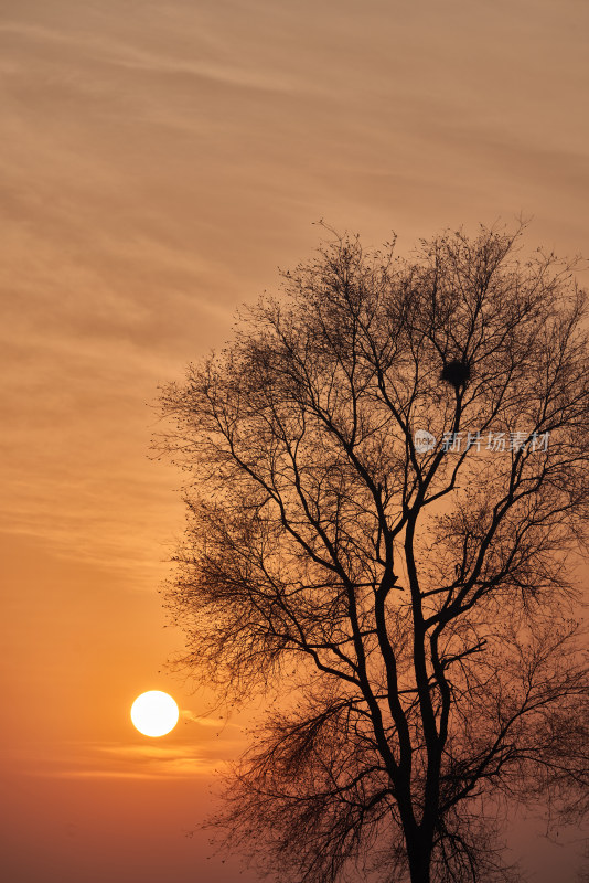 金色的夕阳