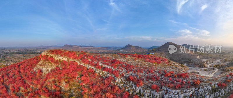 层层叠叠的红叶