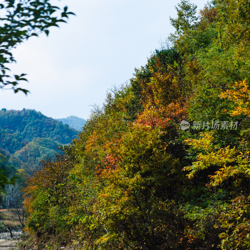 河南洛阳嵩县的白云山风景区秋色