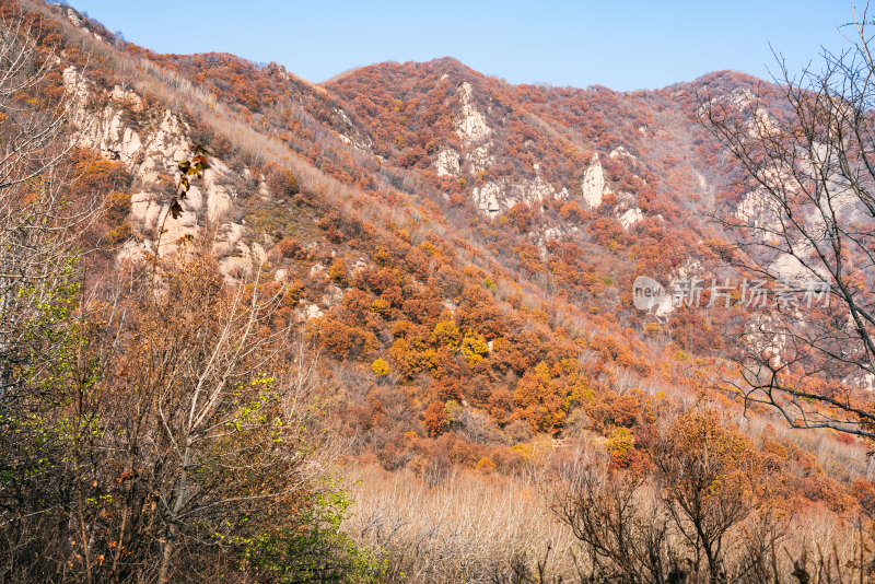 北京喇叭沟门山区秋色