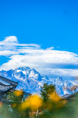 丽江古城黑龙潭景