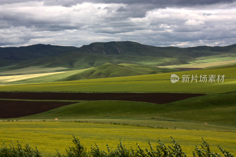 美丽的呼伦贝尔 草原风景 自然风景大草原