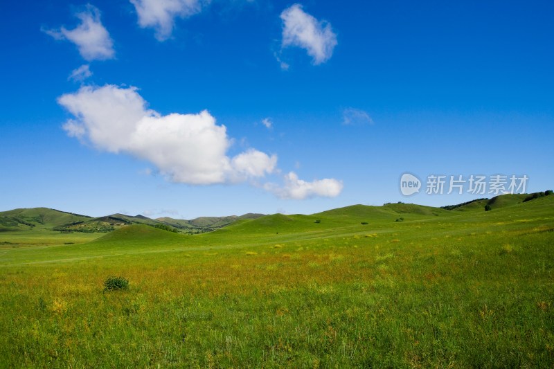 内蒙,坝上,乌兰木统,乌兰木统草原,红山,军马场,草原,草地,