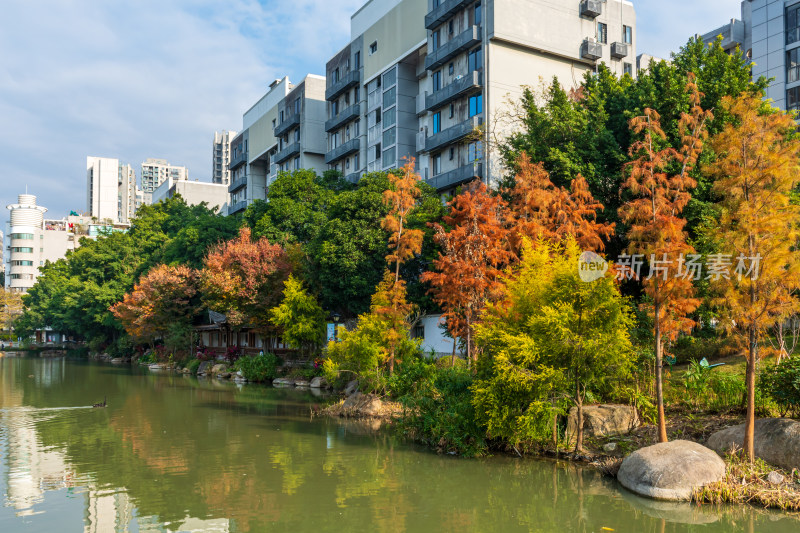 福州黎明湖公园景色