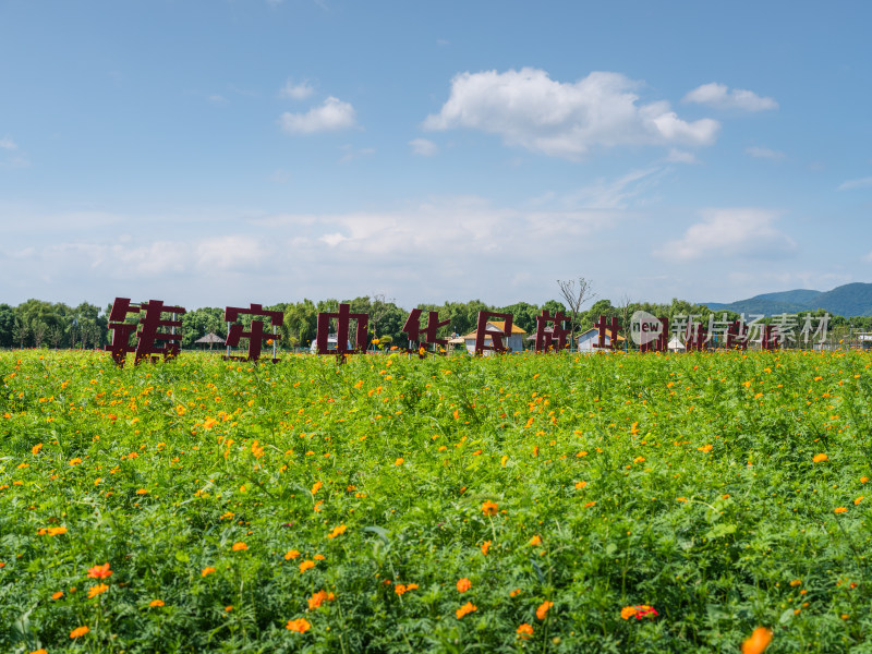 草地花天空国家口号宣言使命精神党国庆红