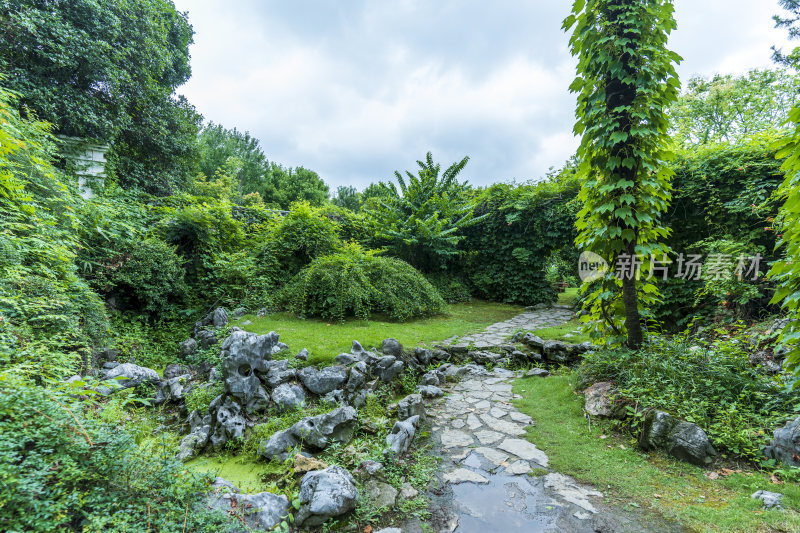 武汉东湖磨山景区盆景园