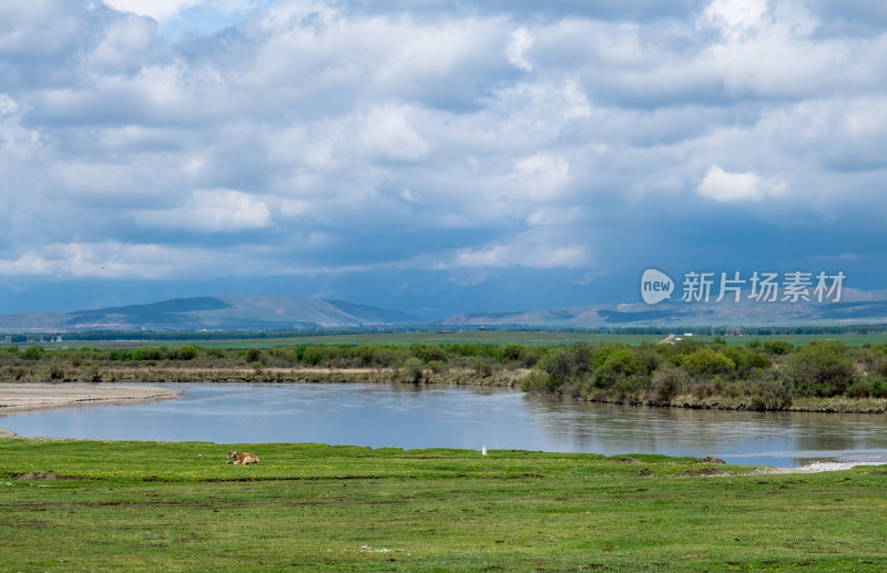 新疆伊犁昭苏蓝天白云下的草原和河流