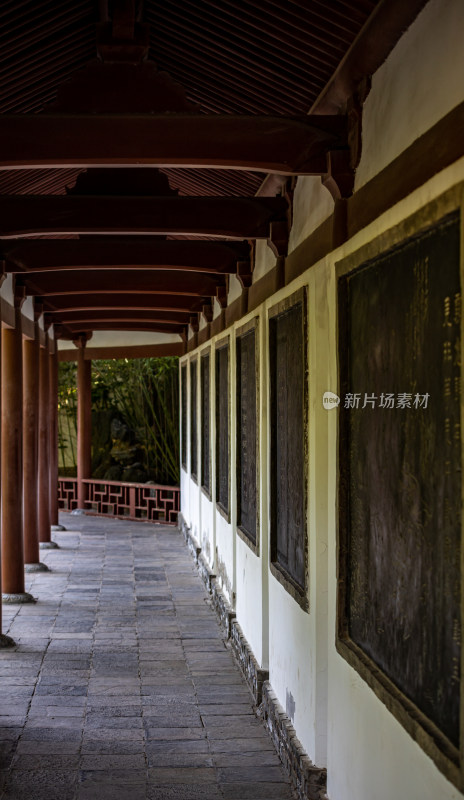 陕西西安青龙寺遗址乐游原景点景观