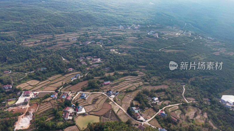 丘陵山川农田种植航拍图